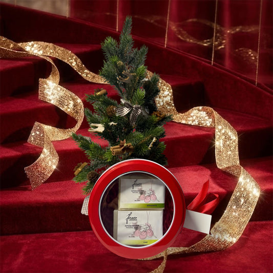 Scatola di Natale con due Saponi Naturali